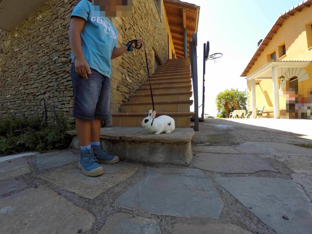 Casa Rural Graeras En Castigaleu Εξωτερικό φωτογραφία